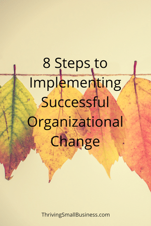Implementing A Successful Change For An Organization