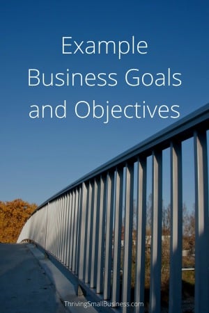 financial objectives examples