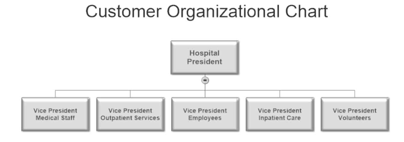 Typical Hospital Organizational Chart