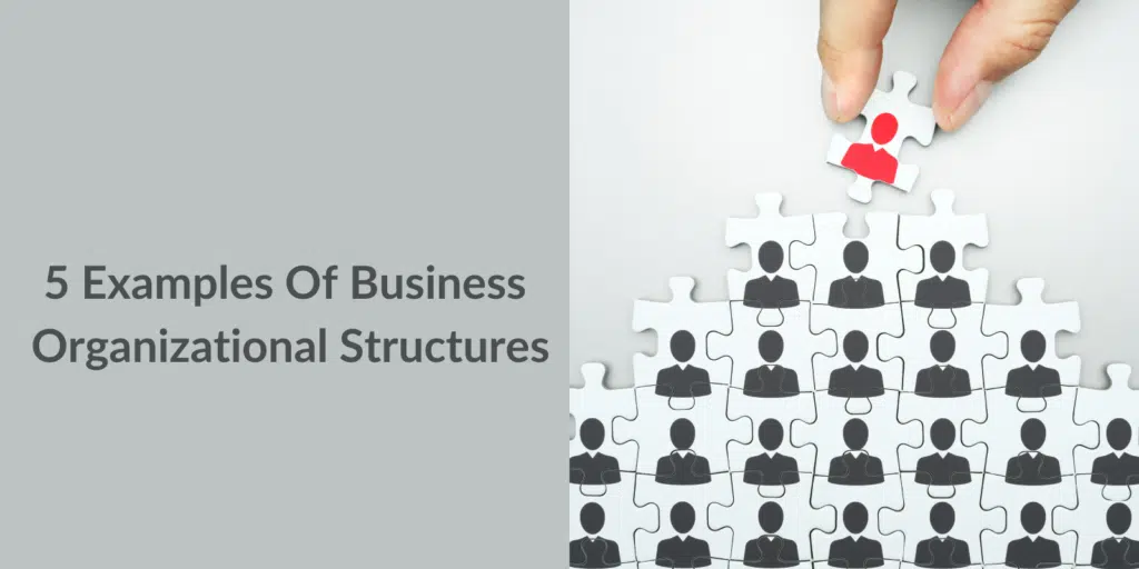 small business organizational structures