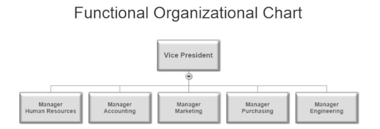 5 Common Business Organizational Structures – The Thriving Small Business