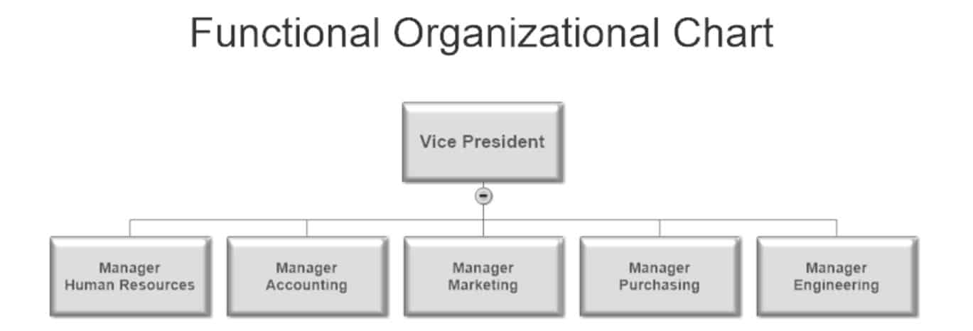 Healthcare Organizational Chart Example