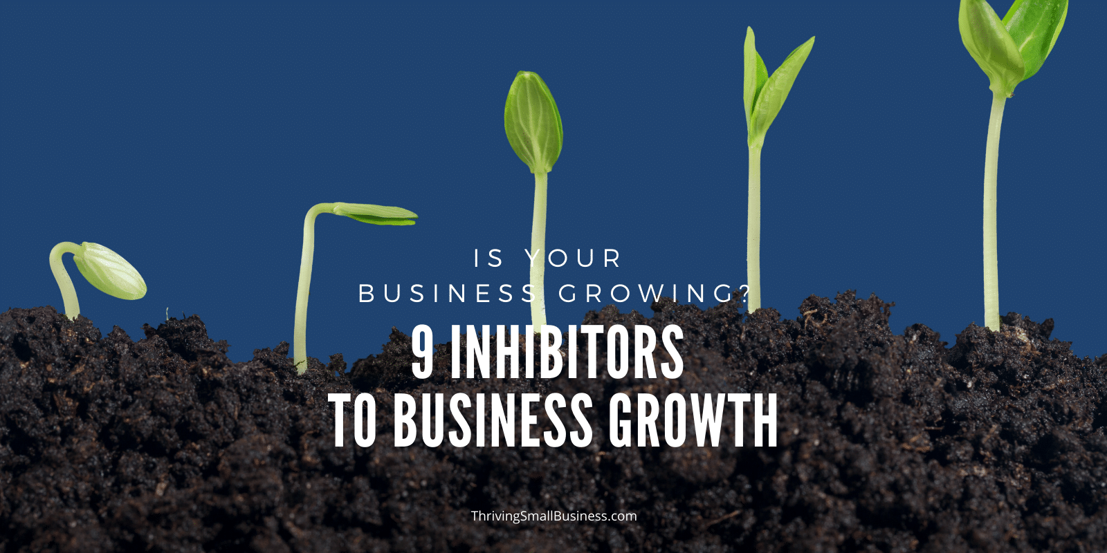 how to grow a business