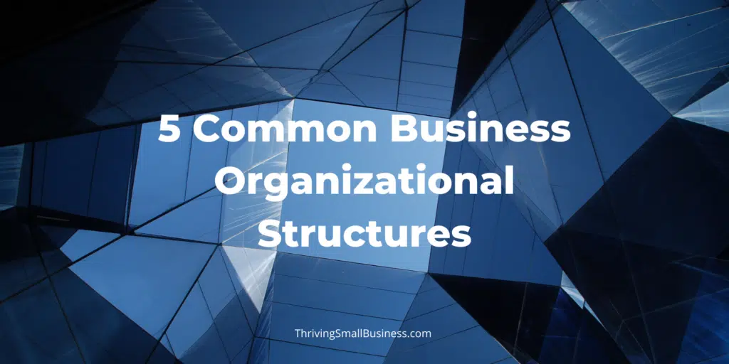 what are the most common organizational structures