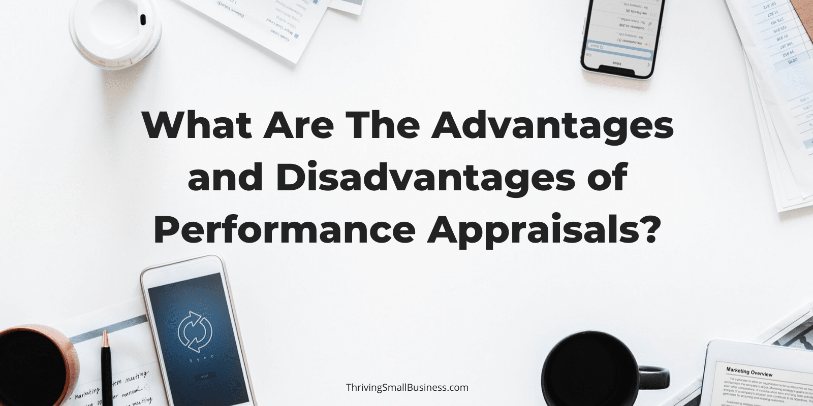 advantages-and-disadvantages-of-performance-appraisals-the-thriving