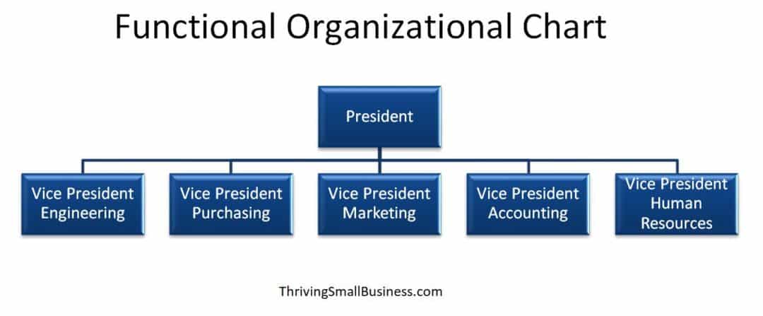 Department Types 5 Common Business Organizational Structures - The Thriving Small Business